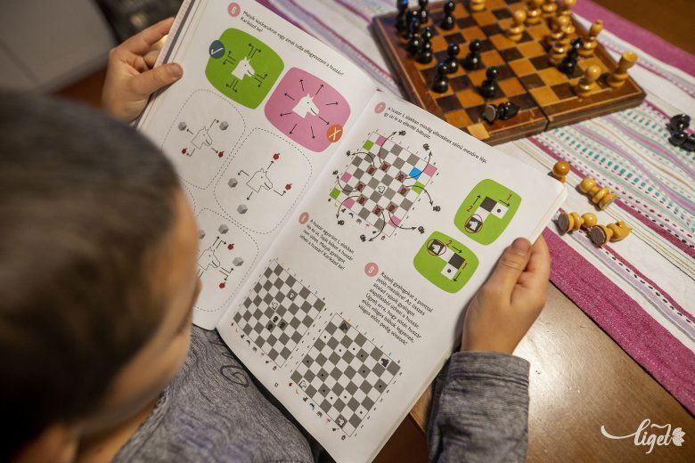 Vannak országok, ahol kötelező tantárgy a sakk •  Fotó: Haáz Vince