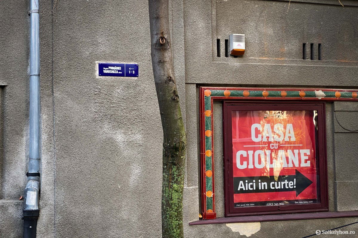 •  Fotó: Rab Zoltán