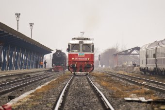 Juhnyájba hajtott a vonat, a juhász is életét vesztette