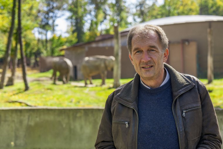 Csodálatos turisztikai vonzerővé fejleszteni a marosvásárhelyi állatkertet