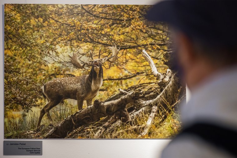 Fotókon a visegrádi országok természeti kincsei