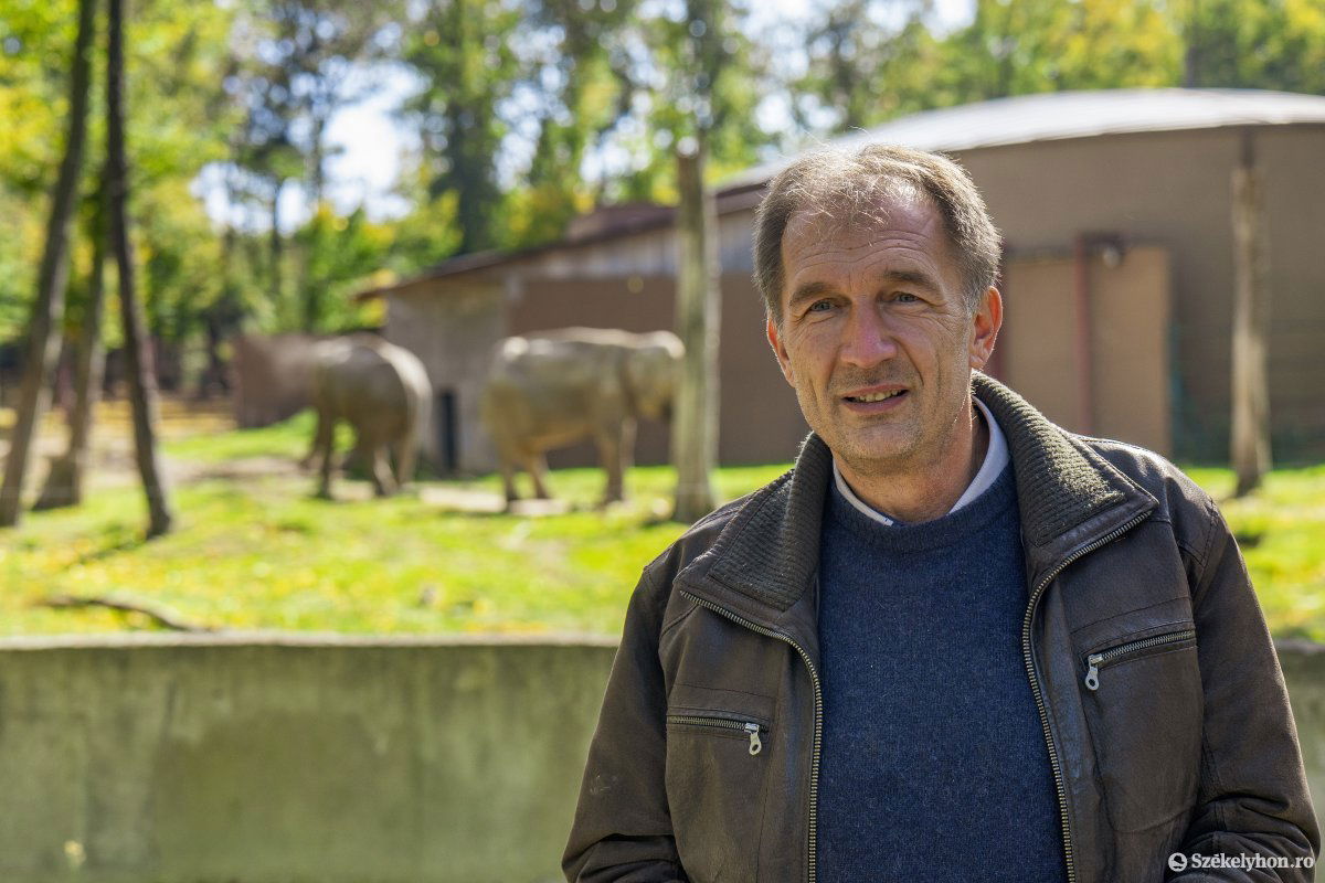 Szánthó János otthonosan mozog az új munkahelyén &bullet;  Fotó: Haáz Vince