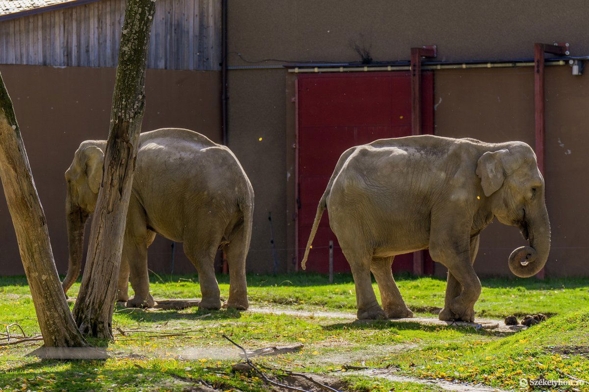 Napozni még ősszel is lehet &bullet;  Fotó: Haáz Vince