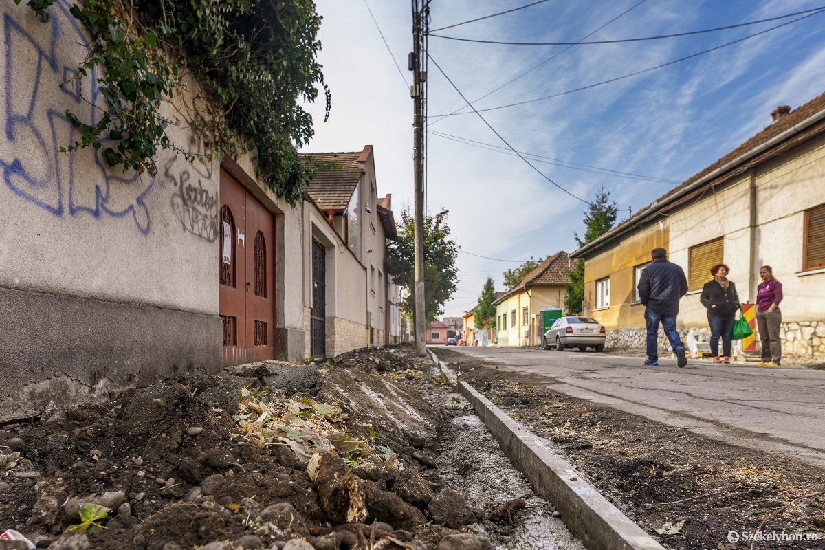 Így néz ki az utca a fakivágás és a felújítási munkálatok elkezdését követően &bullet;  Fotó: Haáz Vince