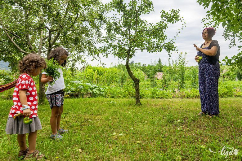 A marosvásárhelyi Stefánia óvoda dadusa úgy érzi, sokat tanul a gyerekektől •  Fotó: Haáz Vince