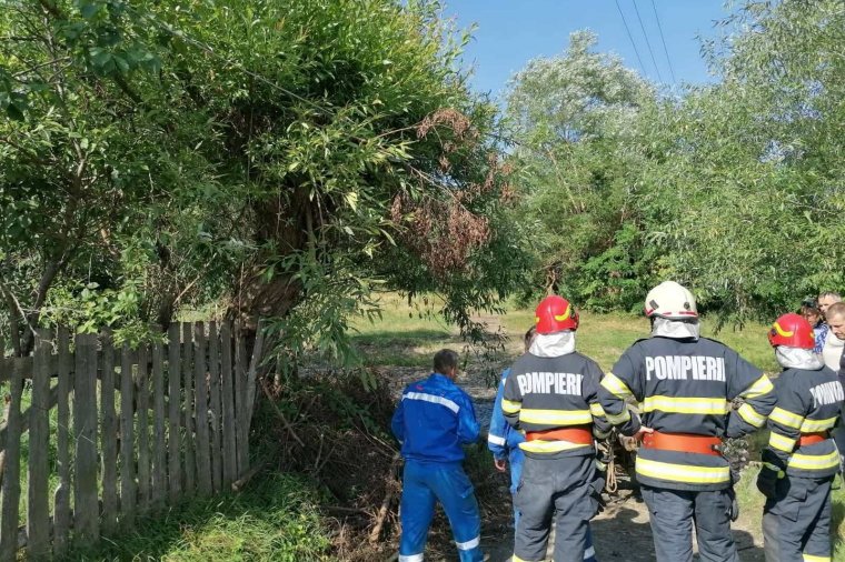 Áramütés miatt elpusztult két ló és megsérült egy ember