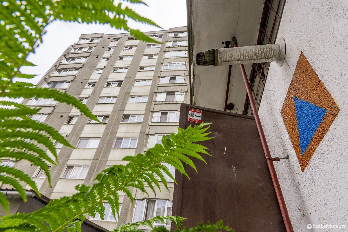 •  Fotó: Haáz Vince