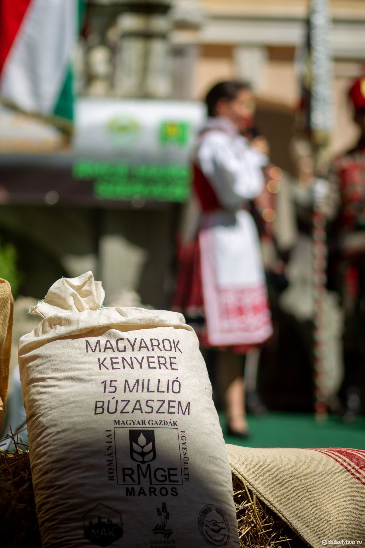 •  Fotó: Rab Zoltán