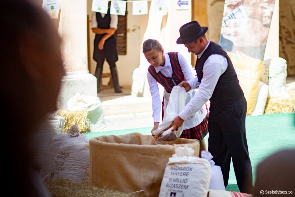 •  Fotó: Rab Zoltán