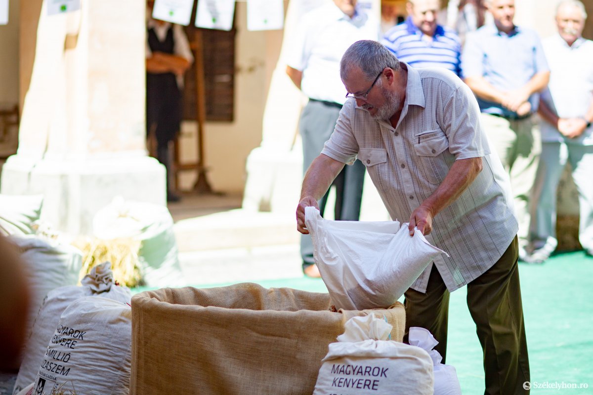 • Fotó: Rab Zoltán
