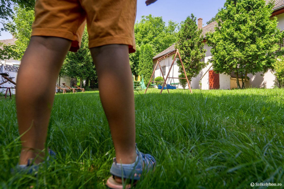 Minden család számára fontosak a gyerek első lépései az óvoda felé •  Fotó: Haáz Vince