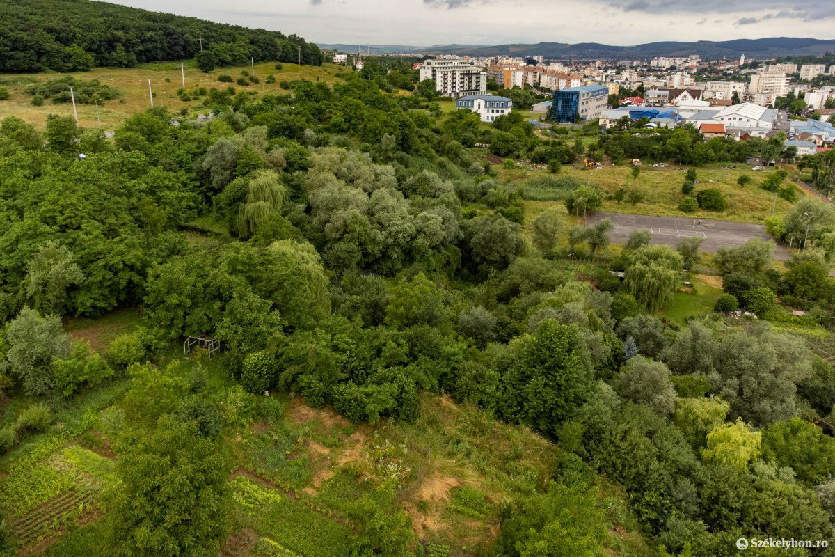 •  Fotó: Rab Zoltán