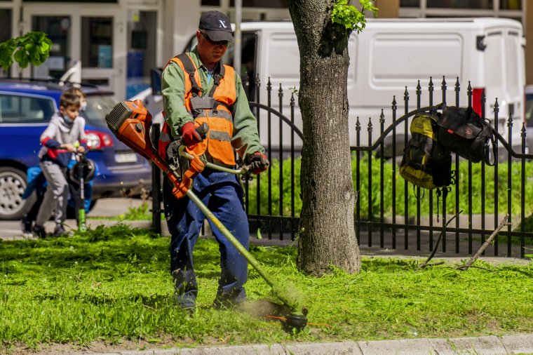 Pázsit helyett térdig érő fű: akadozik a zöldövezetek karbantartása Marosvásárhelyen
