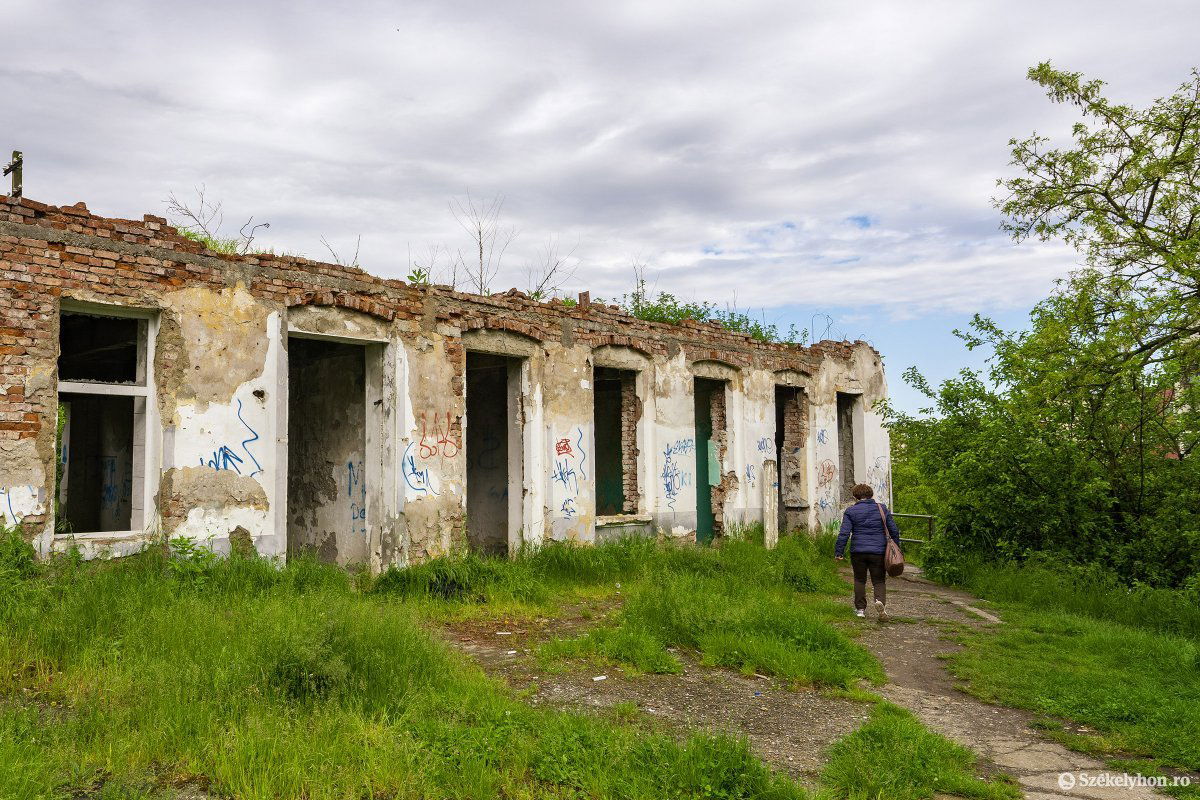 &bullet;  Fotó: Haáz Vince