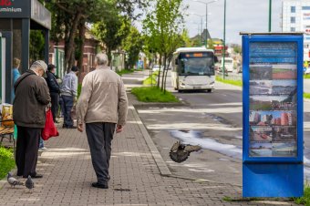 Ünnepi buszjáratok Marosvásárhelyen