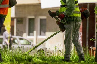 A fametszés lejárt, kezdődik a fűnyírás, virágültetés