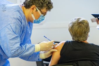 Nicușor Dan szerint nyilvánosságra kell hozni a vakcinák beszerzésével kapcsolatos információkat