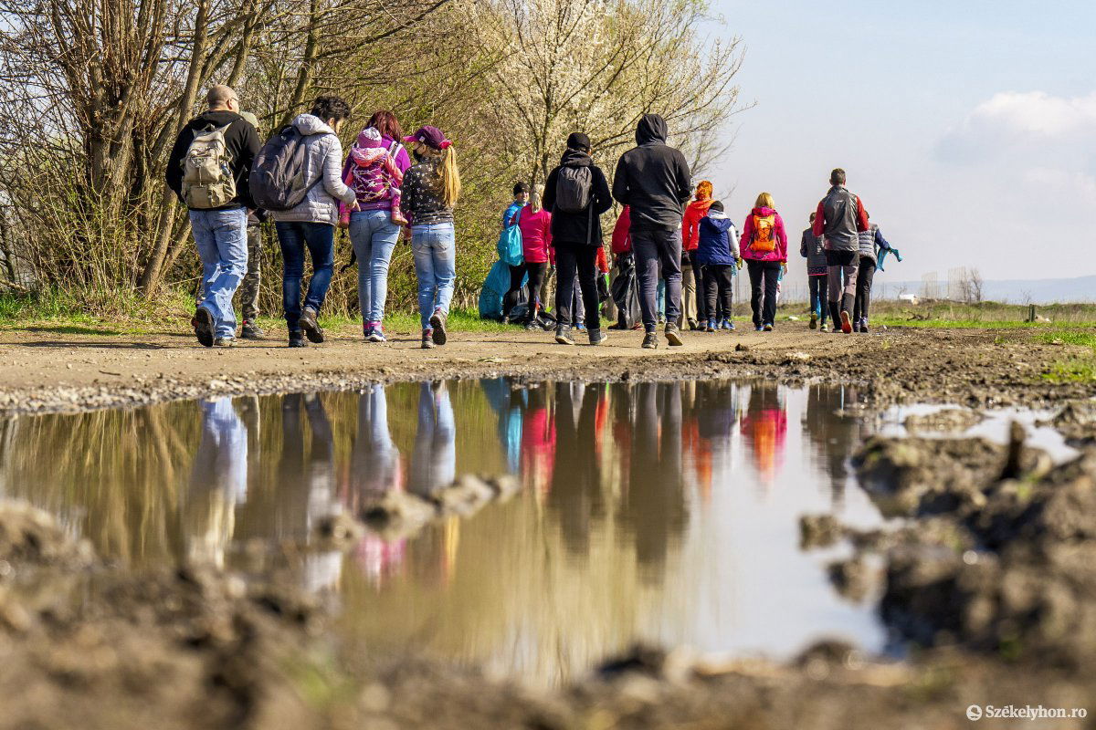 Évek óta szervezik a takarító akciót •  Fotó: Haáz Vince