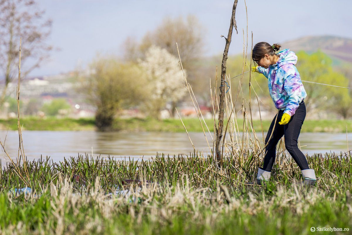&bullet;  Fotó: Haáz Vince