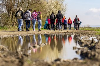 Idén is kitakarítják a Maros-part egy szakaszát