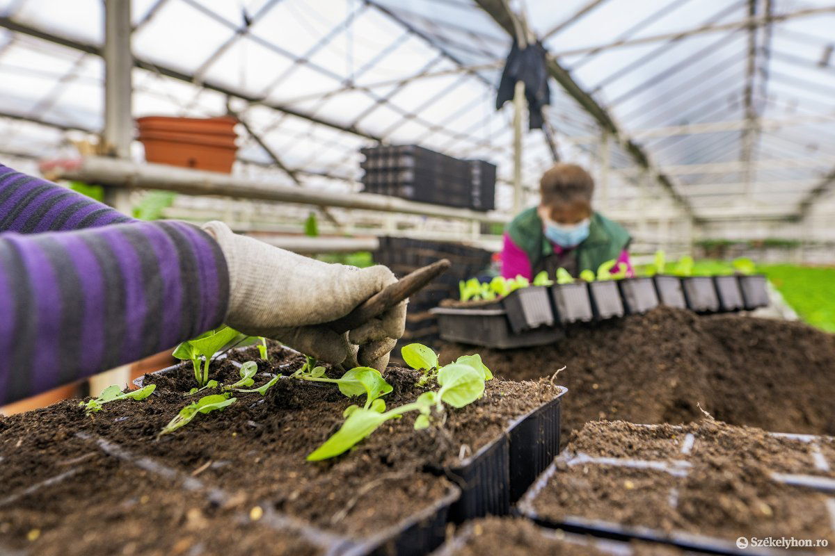 &bullet;  Fotó: Haáz Vince