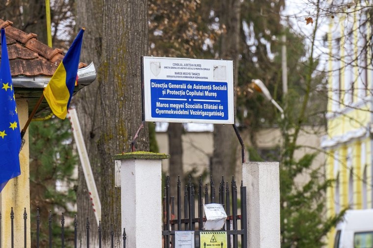 Megnőtt az érdeklődés az örökbefogadás iránt