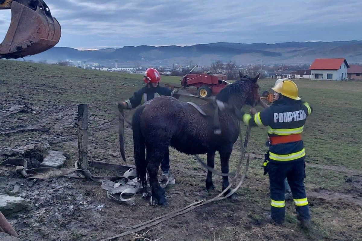 •  Fotó: Maros megyei tűzoltóság