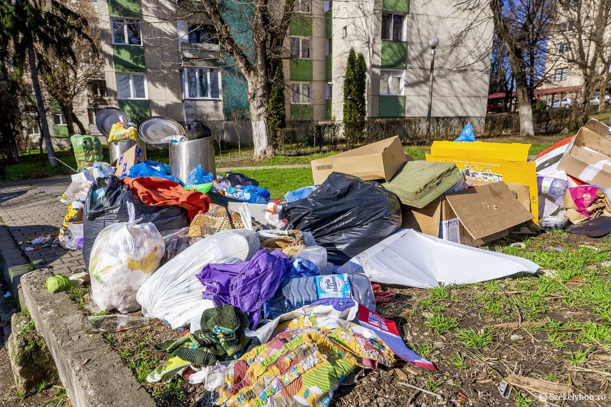 Két napja nem viszik el a szemetet Marosvásárhelyről •  Fotó: Haáz Vince