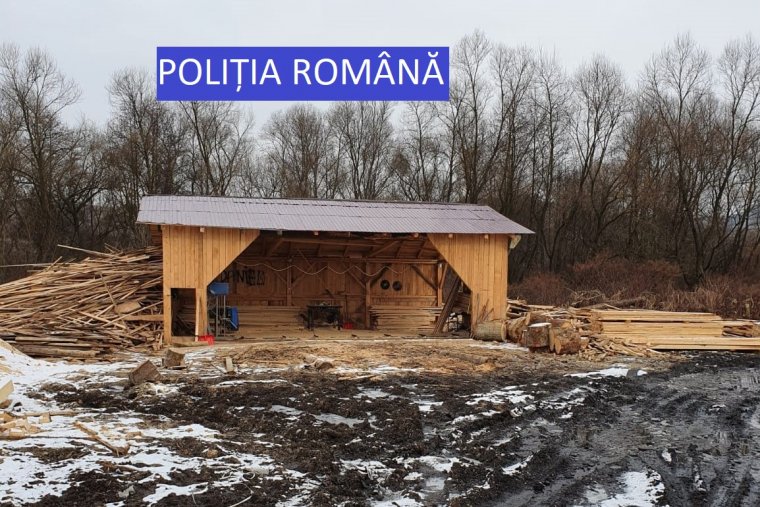 Helyszínen ellenőriztek, lefoglalták az illegális faanyagot