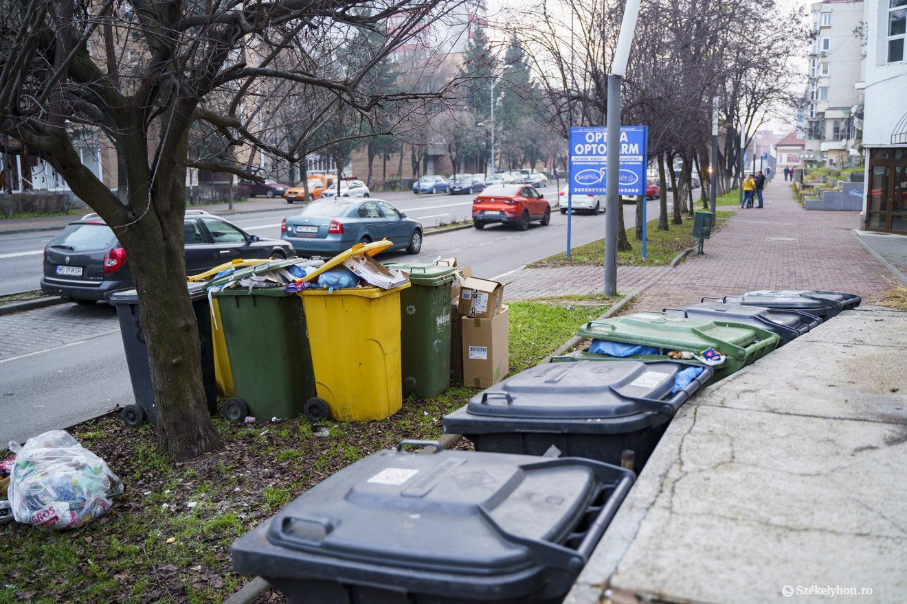 Ha ma kiürítenék két nap múlva újra tele lenének a tárolók •  Fotó: Haáz Vince