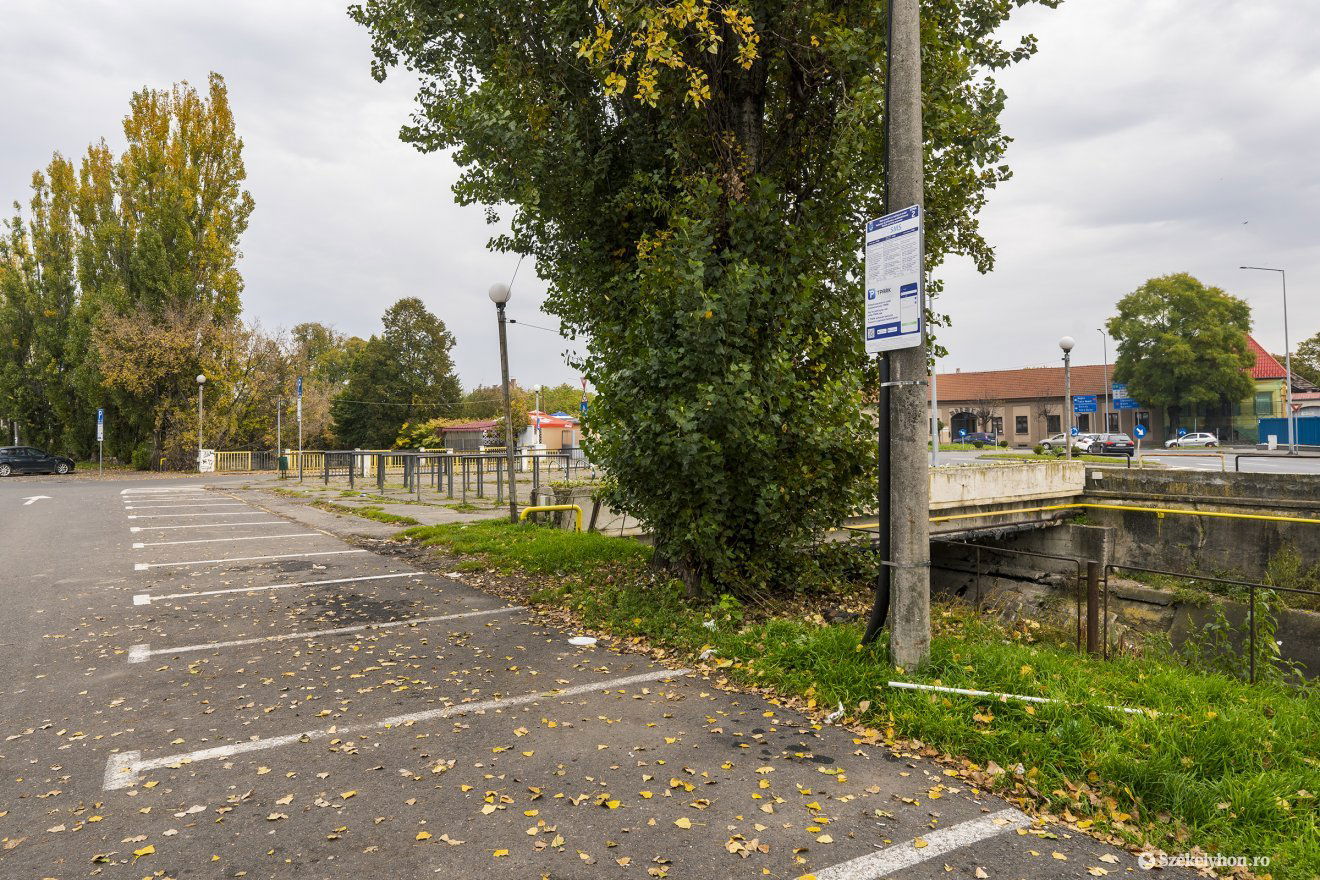 •  Fotó: Haáz Vince