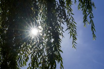 Országszerte meleg lesz a következő két hétben, esőzések csak április második felében várhatóak