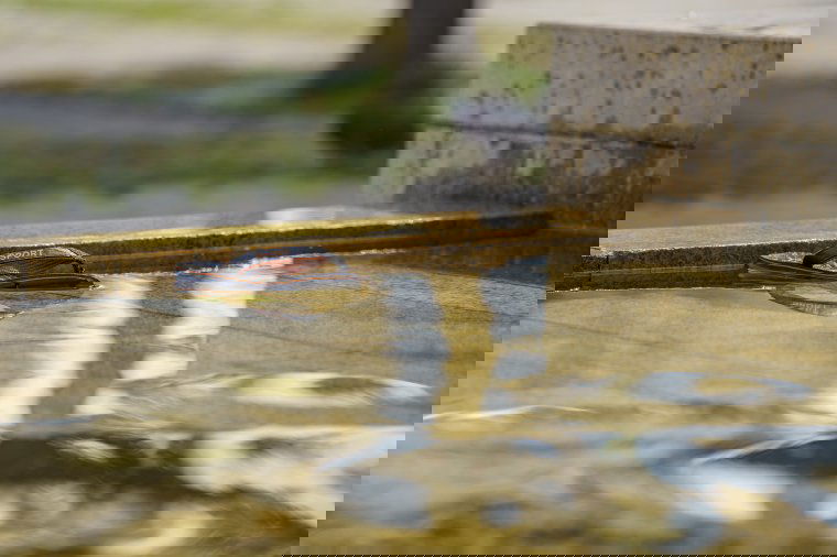 Szeptember elejéig nem várható jelentős lehűlés