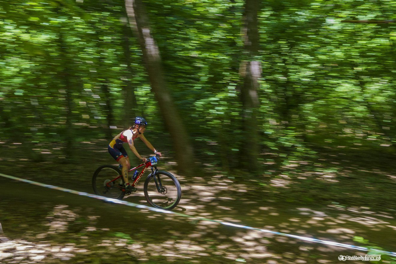 &bullet;  Fotó: Haáz Vince