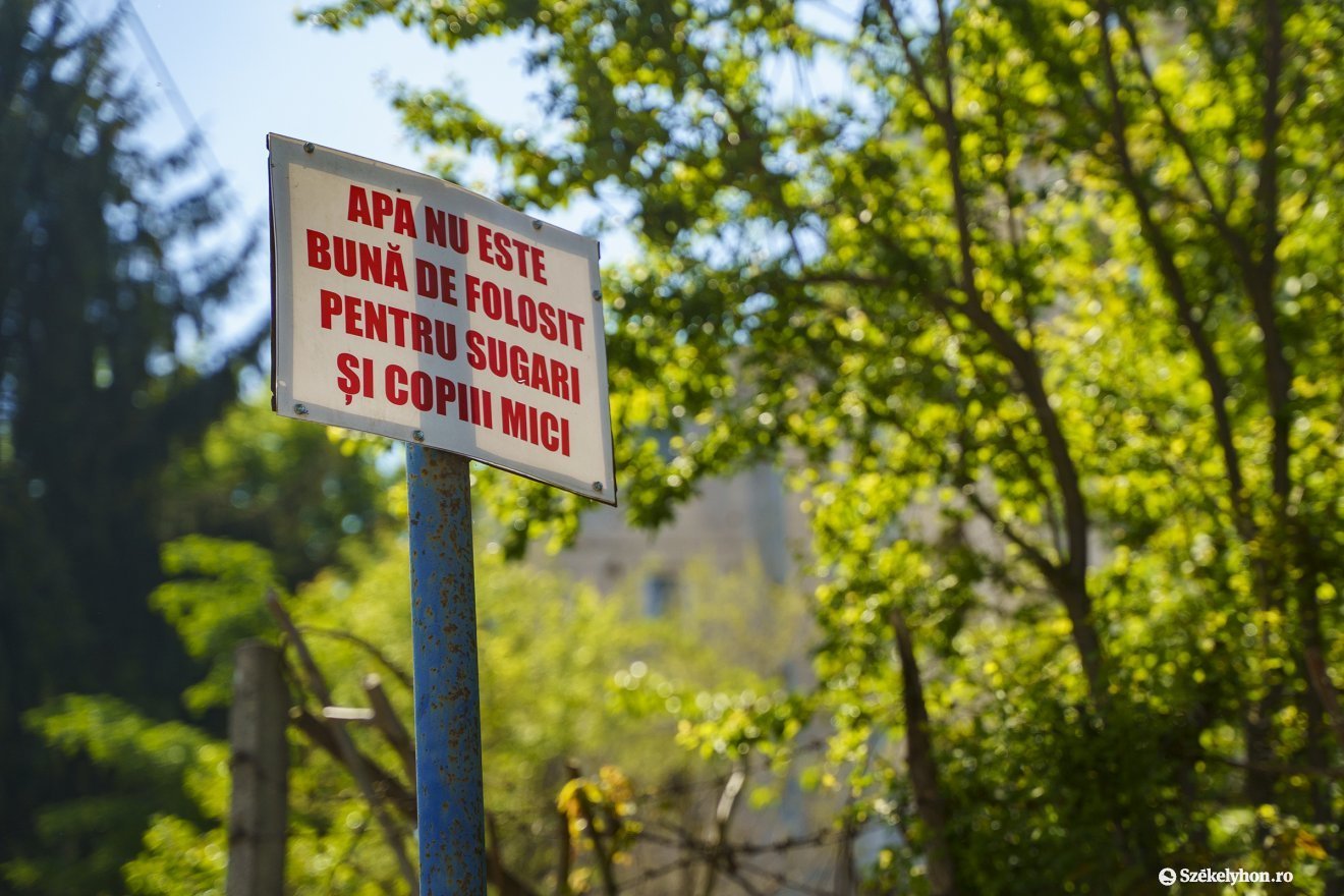 •  Fotó: Haáz Vince