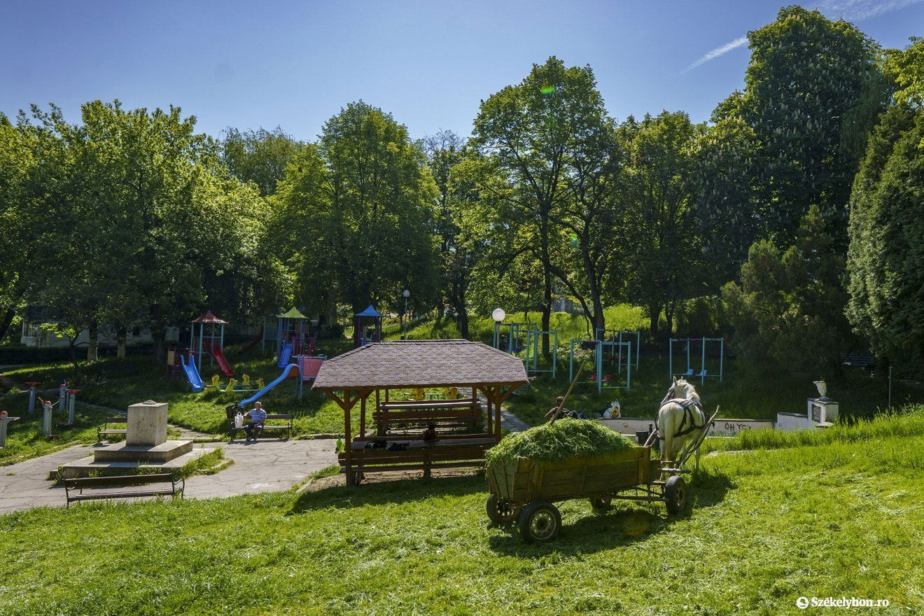 •  Fotó: Haáz Vince