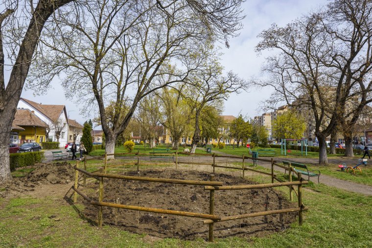 Minierdő nagy haszonnal