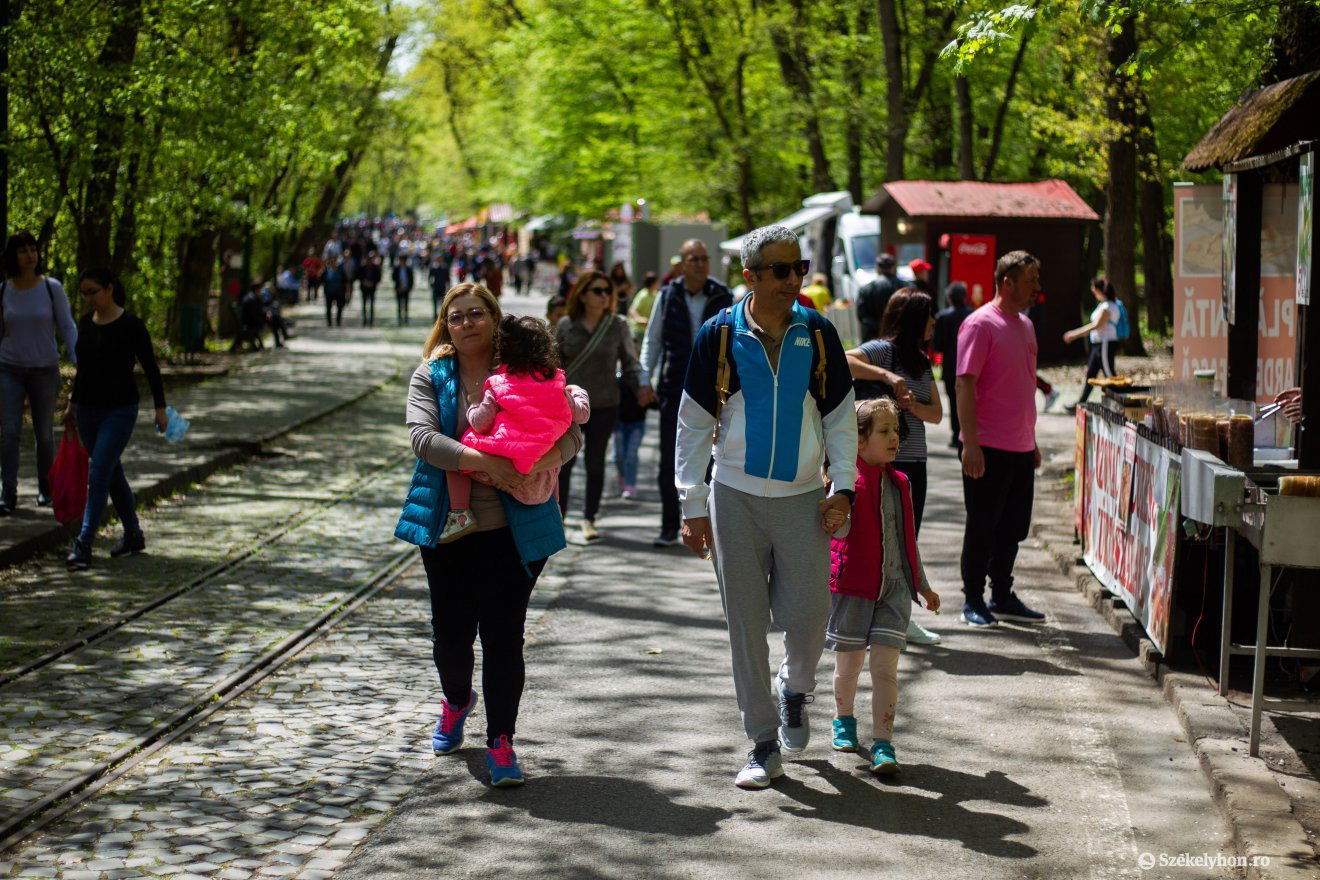 Megoldást kerestek. A marosvásárhelyi Somostetőn körvonalazódik a jó forgatókönyv   •  Fotó: Rab Zoltán