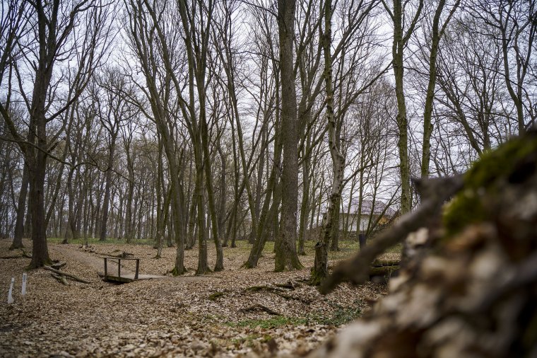Átalakítják a somostetői kerékpárpályát, hogy többen tudják használni