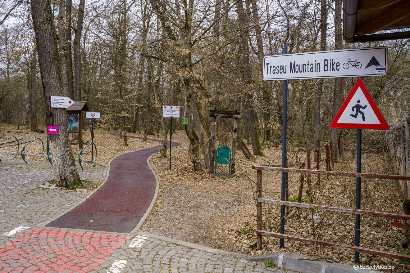 •  Fotó: Haáz Vince