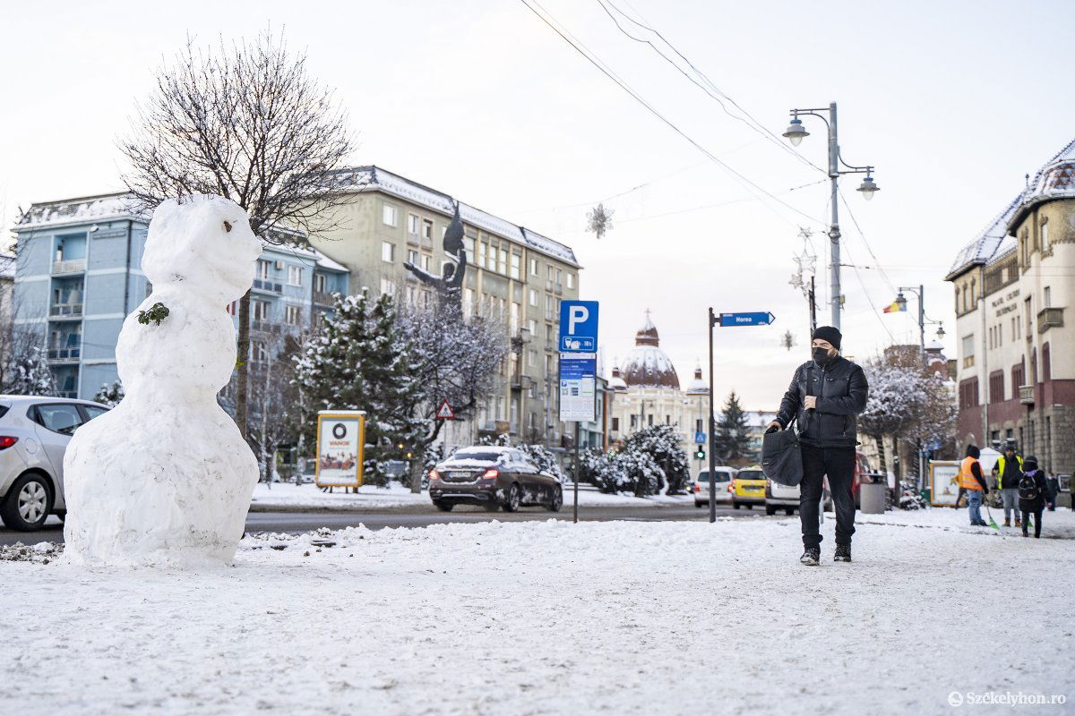 Különös vendégek Marosvásárhelyen. Időjárásfüggő a jelenlétük •  Fotó: Haáz Vince