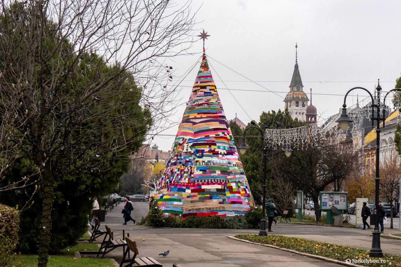 Kézzel kötött sálakból összeállított karácsonyfa díszítette december 5–11. között Marosvásárhely főterét. A cseppet sem hagyományos fa sokféle reakciót váltott ki – negatívat és pozitívat egyaránt •  Fotó: Haáz Vince