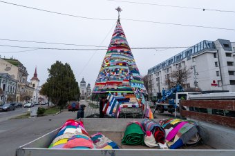 Költözik a sálfa, érkezik az ezüstfa