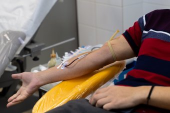 Ingatlanadó-kedvezményben is részesülhetnek a véradók