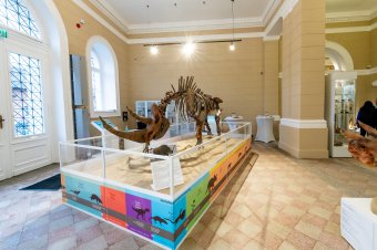 Lezárult a „Marosvásárhelyi Természettudományi Múzeum felújítása” projekt