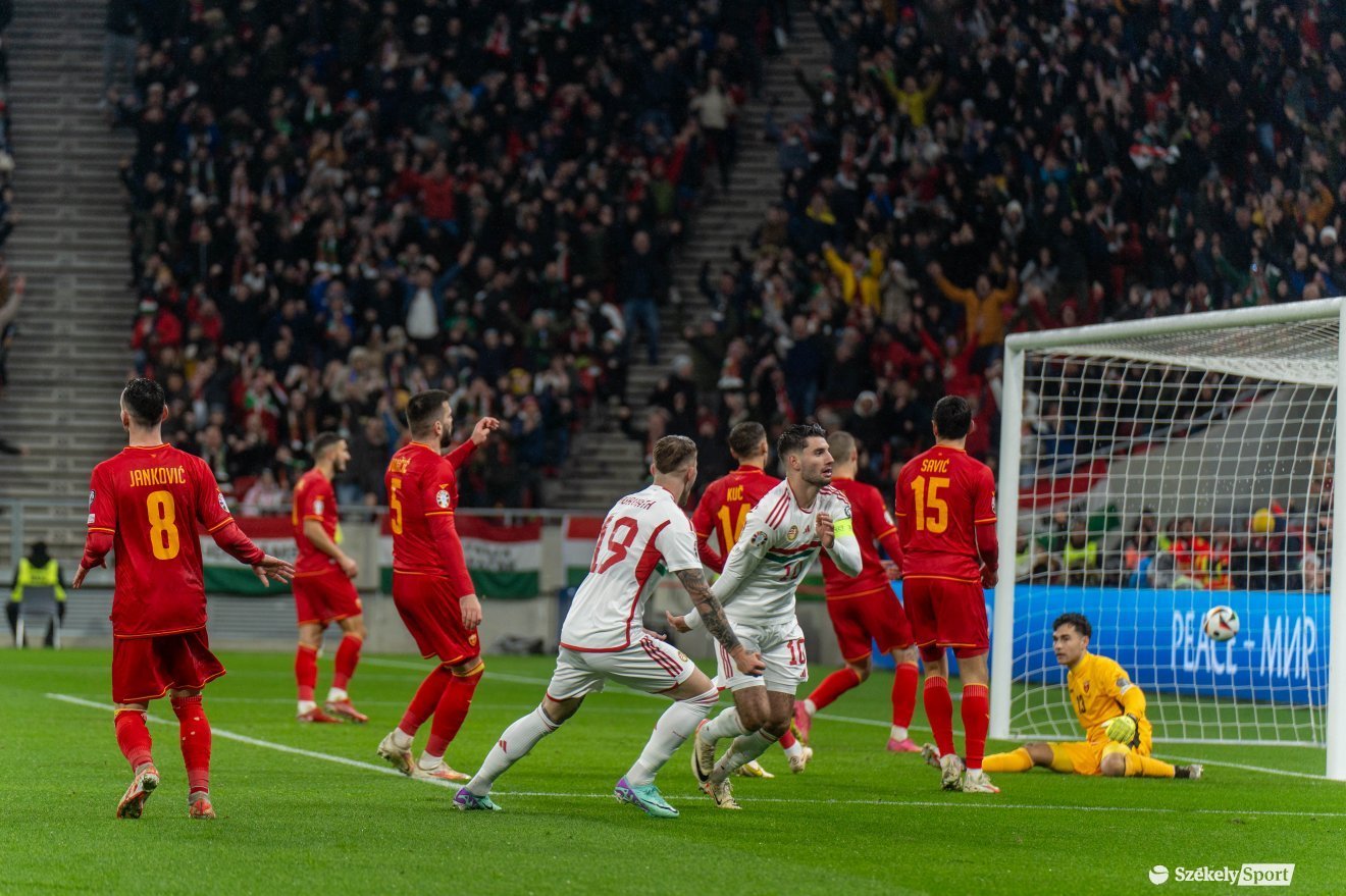 •  Fotó: Haáz Vince