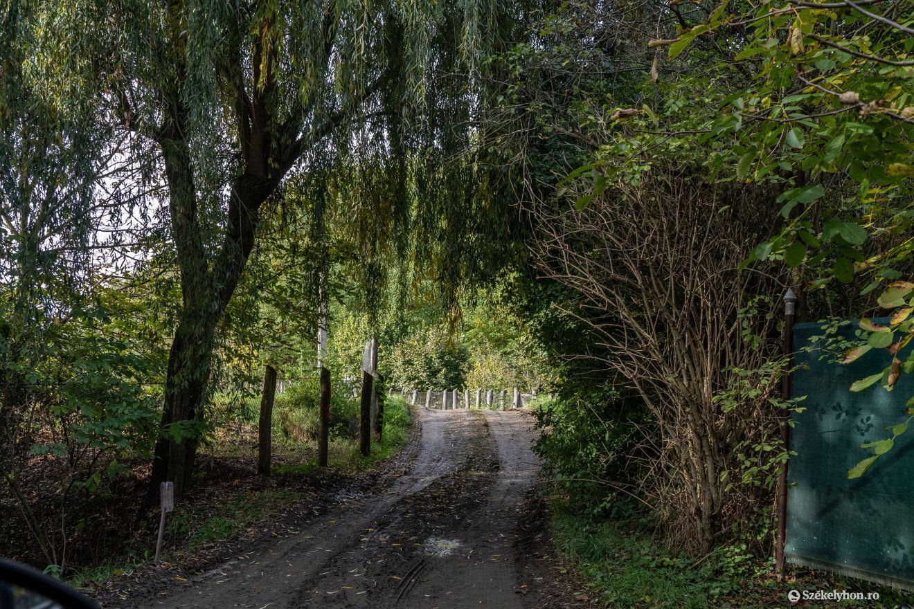 Most vadregényes, de télen milyen lesz? •  Fotó: Haáz Vince