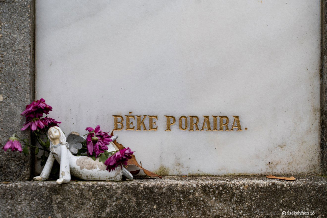 Képünk illusztráció •  Fotó: Haáz Vince