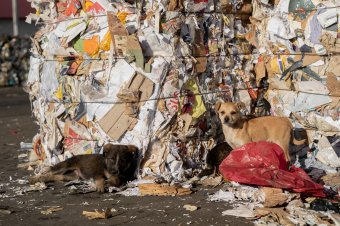 Felszólította az EB Romániát, hogy javítania kell a hulladékkezelésen