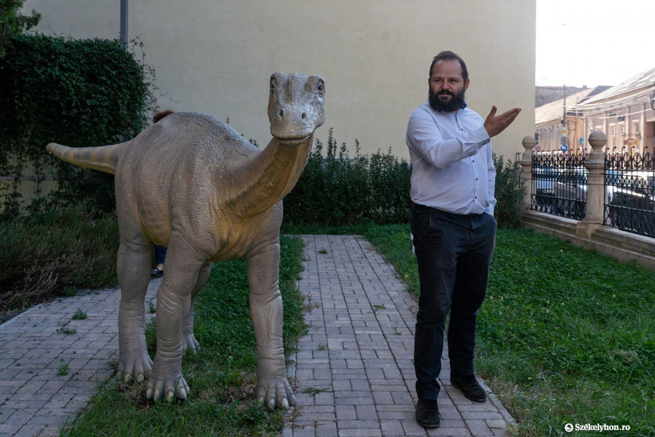 Ötvös Koppány és a magyarosaurus •  Fotó: Haáz Vince